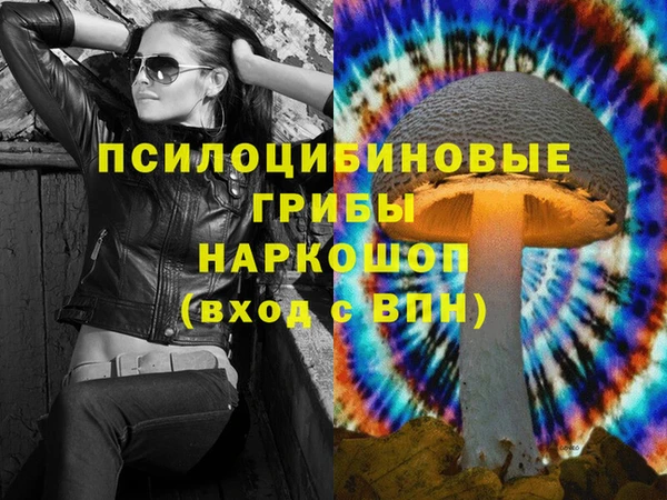 спайс Магас